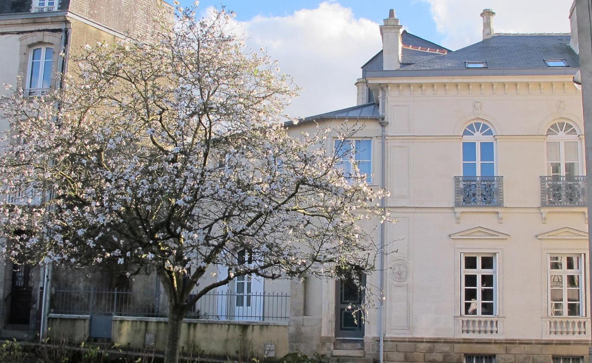 Une Suite A Vannes Exterior foto